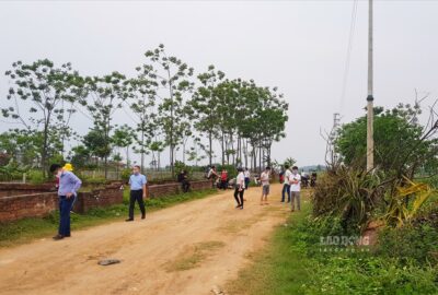 Sau hơn 1 năm “sốt đất” ở Hoà Lạc: Chỉ còn bóng dáng người chăn bò